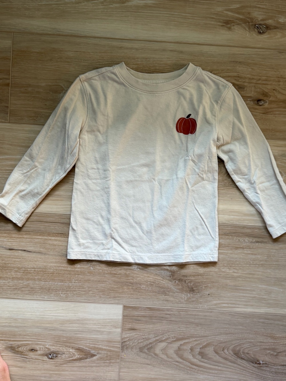 Target Cream Long-Sleeve Tee with Orange Pumpkin Patch